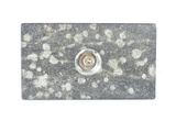 a picture of a close up of a metal object on a white background