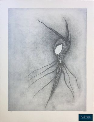 an image of a black and white drawing of a spider on a sheet of paper