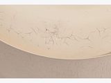 an image of a white bowl sitting on top of a table