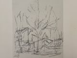 une image représentant un dessin d'un arbre dans un champ d'herbe