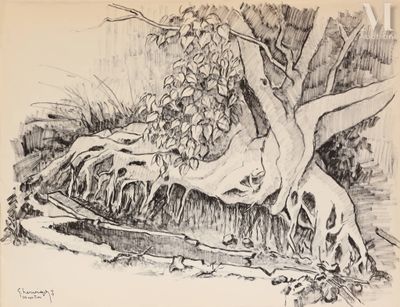 une image représentant un dessin d'un arbre tombé