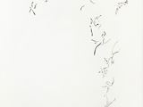 de nombreux oiseaux volant dans le ciel au-dessus d'un mur blanc