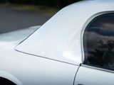 a cat that is sitting in the window of a car