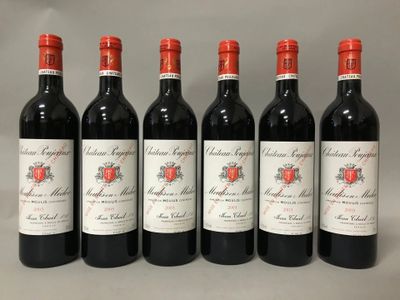 six bouteilles de vin rouge sont alignées sur une table