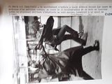 Photo 3/13 du lot