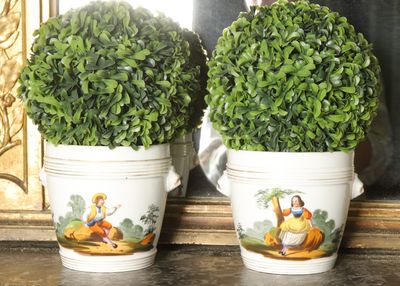 deux plantes en pot posées sur une étagère à côté d'un miroir
