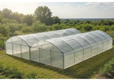 une grande serre dans un champ, avec des arbres en arrière-plan