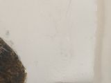 une photo d'une feuille de papier sur laquelle figure l'image d'un chat