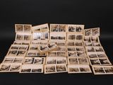 several old black and white photos of a bunch of trees