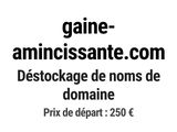 Photo 1/1 du lot