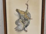 tableau représentant un oiseau mort accroché à un mur dans un cadre en bois