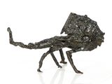 a bronze sculpture of a scorpion on a white surface