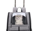 the cat is sitting in the back of a wheeled bag
