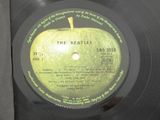 vinyl record with a picture of a green apple on it