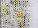 de nombreuses variétés de fleurs exposées dans une vitrine