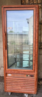 une vitrine en verre contenant une plante