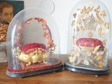 deux cloches en verre ornées de motifs dorés, posées sur une table