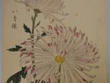 an image of a painting of two white flowers with green leaves