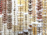 a lot of butterflies that are on display in the room