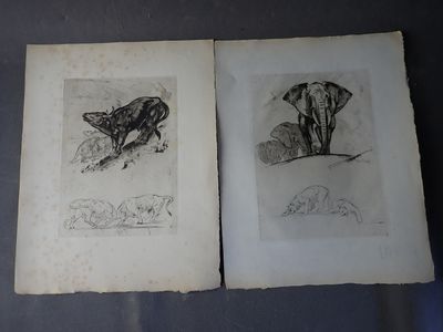 deux dessins d'animaux sur les pages d'un livre