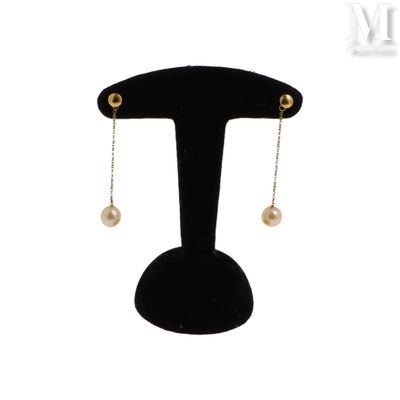 une paire de boucles d'oreilles ornées de perles suspendues à un support noir