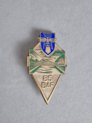 un gros plan d'un insigne posé sur une surface blanche, orné d'un blason bleu et vert