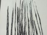 a black and white drawing of a bunch of sticks