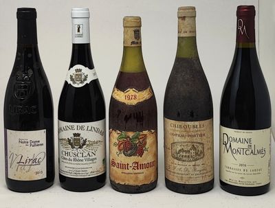 5 bouteilles VINS ROUGES DIVERS, (Chusclan 2013, Saint-Amour…