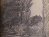 a picture of a drawing of trees in a field