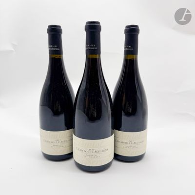 trois bouteilles de vin sont posées sur une surface blanche, devant un fond blanc