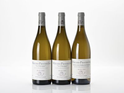 trois bouteilles de vin blanc posées les unes à côté des autres sur une table