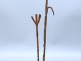 une sculpture métallique représentant une plante, posée sur un socle en bois