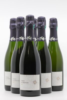 six bouteilles de vin sont alignées sur une surface blanche