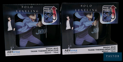 Il s'agit de deux boîtes contenant des mugs à l'effigie de personnages d'anime.