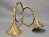 pair of brass trumpets on a white background