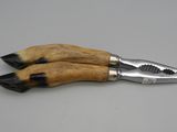a close up of a pair of scissors with claws on them