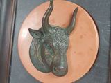 a picture of a bull head mounted on a wall