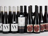 plusieurs bouteilles de vin sont alignées sur une surface blanche