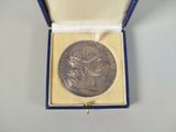 an image of a silver medal in a blue box on a white surface