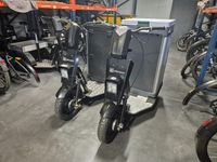Lot de 2 triporteurs électriques COBRANE, 1 modèle COB23A100…