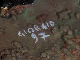 a close up of a piece of art with writing on it