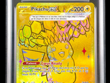 La carte Pokémon se trouve dans un étui en plastique transparent