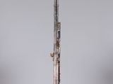 an image of a silver and gold flute on a clear stand