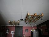 a plant hanging from the ceiling in the kitchen