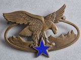 un aigle orné d'une étoile bleue trône au sommet d'une plaque métallique