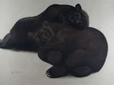 deux ours couchés ensemble par terre