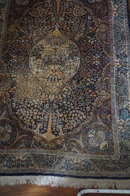 un grand tapis oriental posé sur le sol du salon