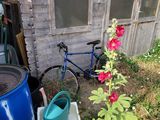 un vélo garé devant un abri, à côté d'une plante en pot