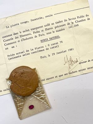 RUBIS en blister de la chambre du commerce et de l'industrie…