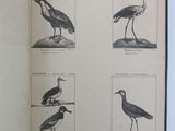 a book with a picture of different birds on it